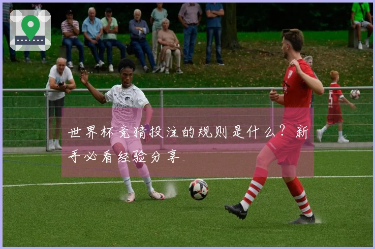 世界杯竞猜投注的规则是什么？新手必看经验分享