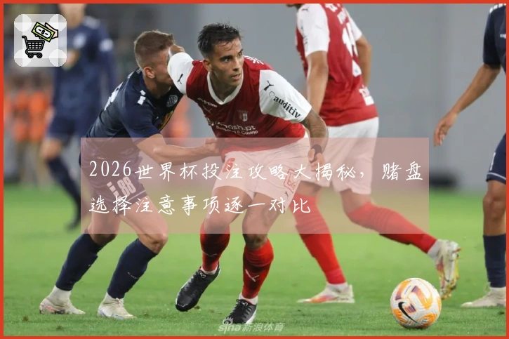 2026世界杯投注攻略大揭秘，赌盘选择注意事项逐一对比