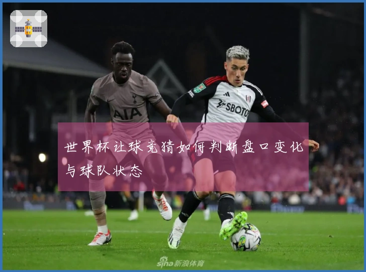世界杯让球竞猜如何判断盘口变化与球队状态